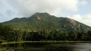 Simlipal National Park: Exploring the Wilderness of Odisha